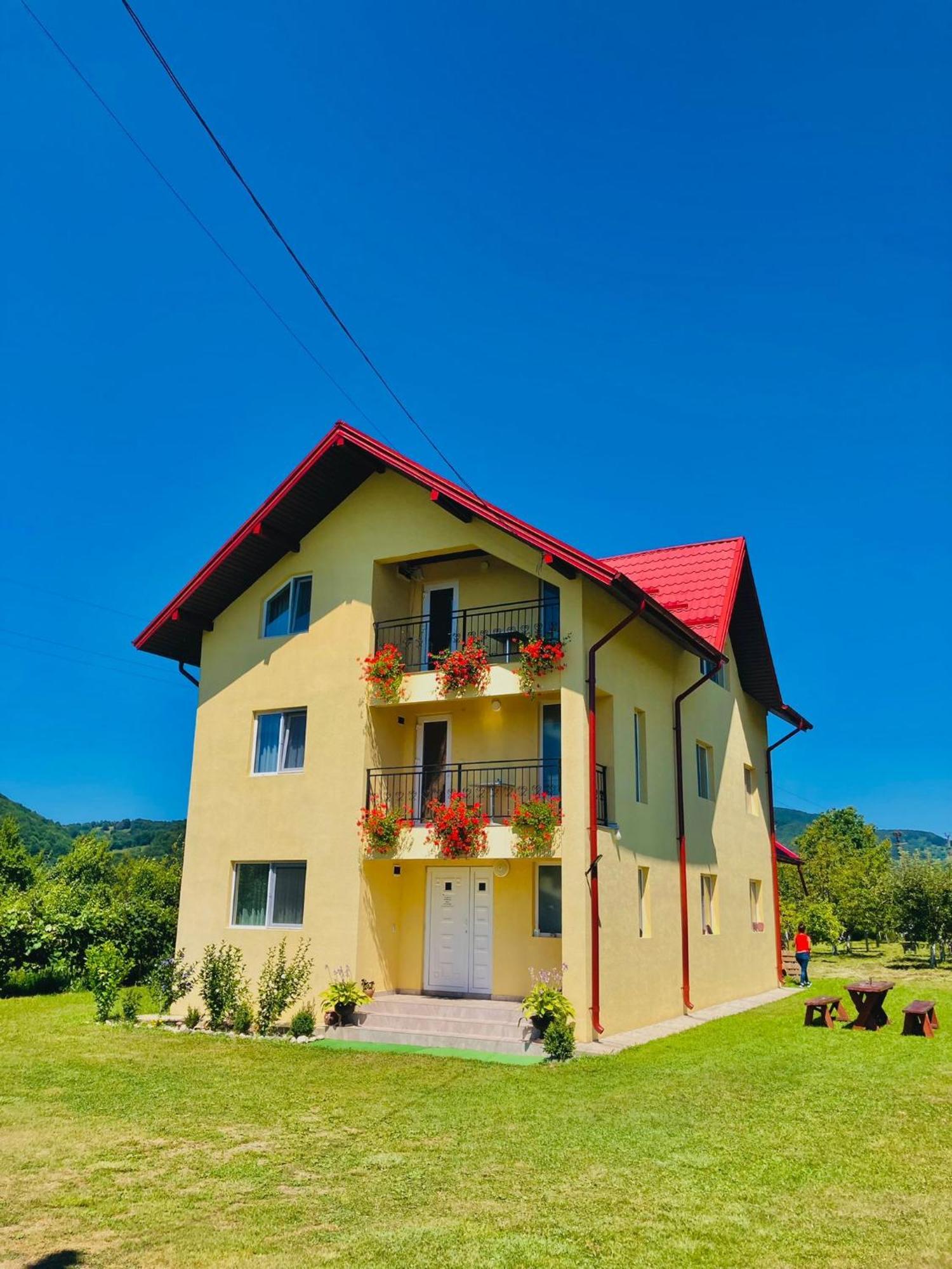 מלון Oesti-Paminteni Vila Norina מראה חיצוני תמונה